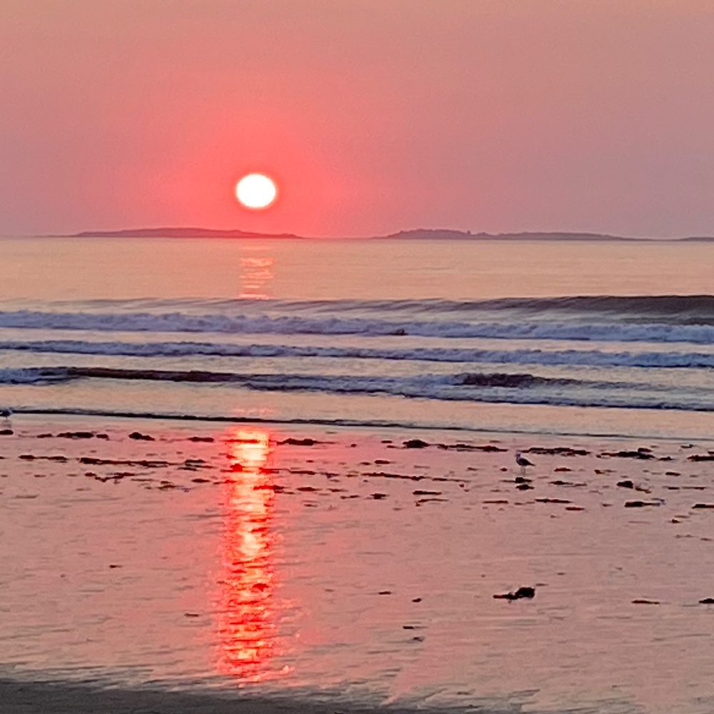 Meet your Posher, Deb